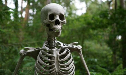 180+ Funny Names For Skeletons: Hilarious Skeleton Names