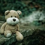 Funny Names For Teddy Bears: The Art Of Choosing Funny Teddy Bear Names