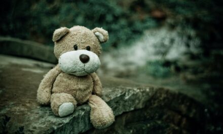 Funny Names For Teddy Bears: The Art Of Choosing Funny Teddy Bear Names