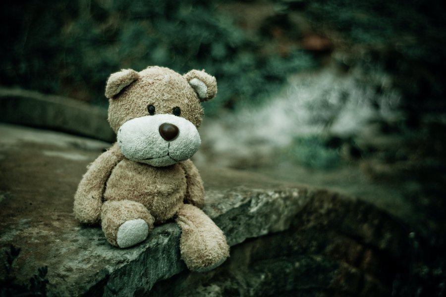 Funny Names For Teddy Bears: The Art Of Choosing Funny Teddy Bear Names