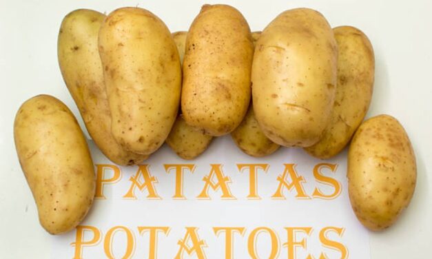 350+ Funny Names for Potatoes: Clever, Quirky, and Entertaining Choices