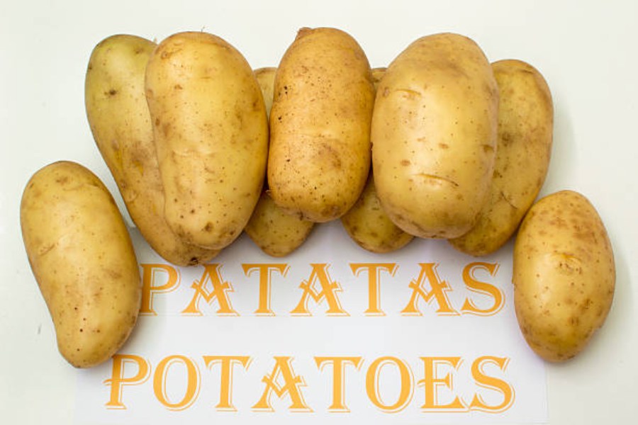 350+ Funny Names for Potatoes: Clever, Quirky, and Entertaining Choices