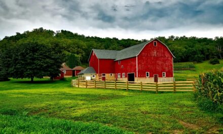 370+ Funny Names for Farms: Creative and Quirky Ideas to Inspire You