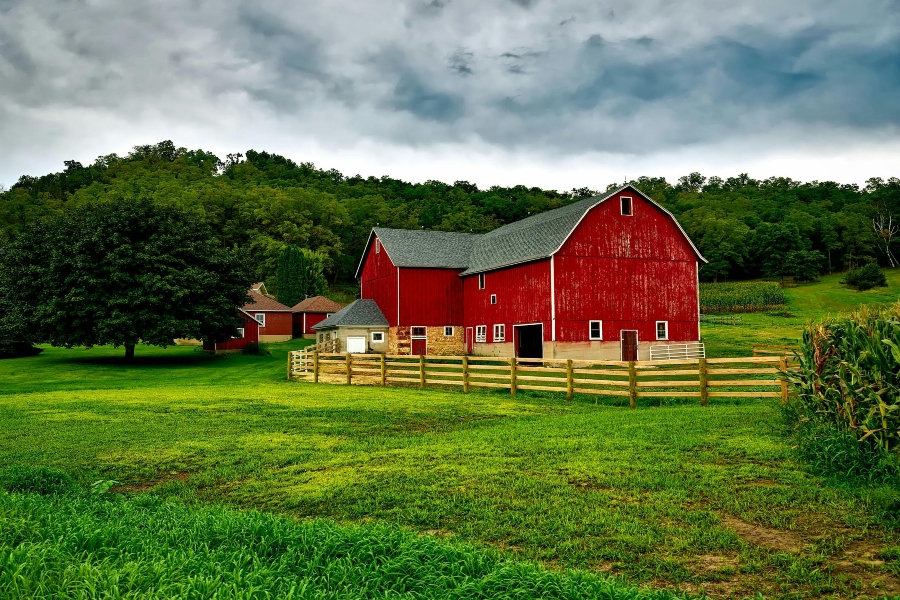 370+ Funny Names for Farms: Creative and Quirky Ideas to Inspire You