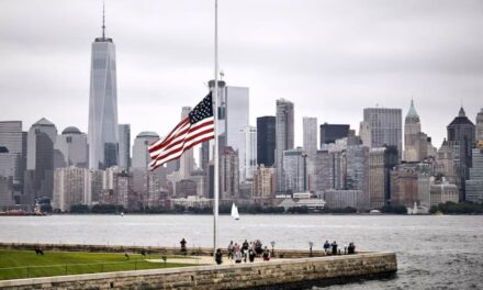 Your Guide to Finding the Best Realtors in Jersey City, NJ