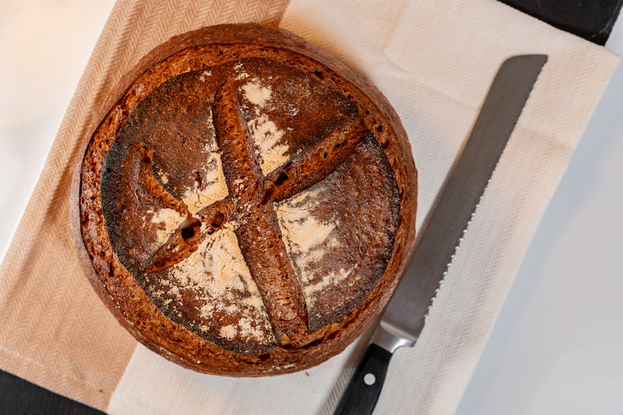 450+ Funny Names for Sourdough Starter: Doughn’t Miss These!