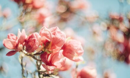 What Makes a Plant Name Unforgettable? 
