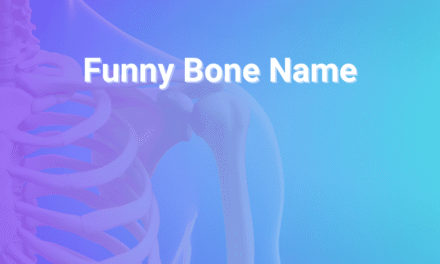 Funny Bone Name: Meaning, Origins, And Nerve Facts