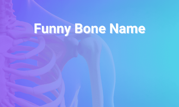 Funny Bone Name: Meaning, Origins, And Nerve Facts