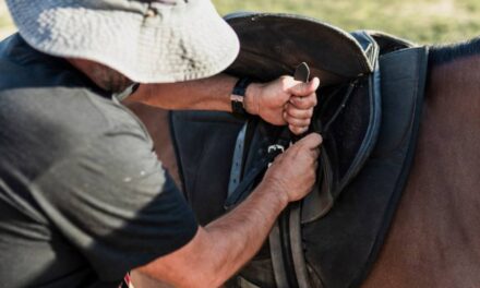 Australian Riders Are Choosing Smarter Saddle Options